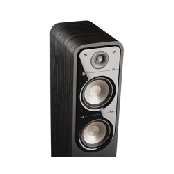 POLK Columna S55