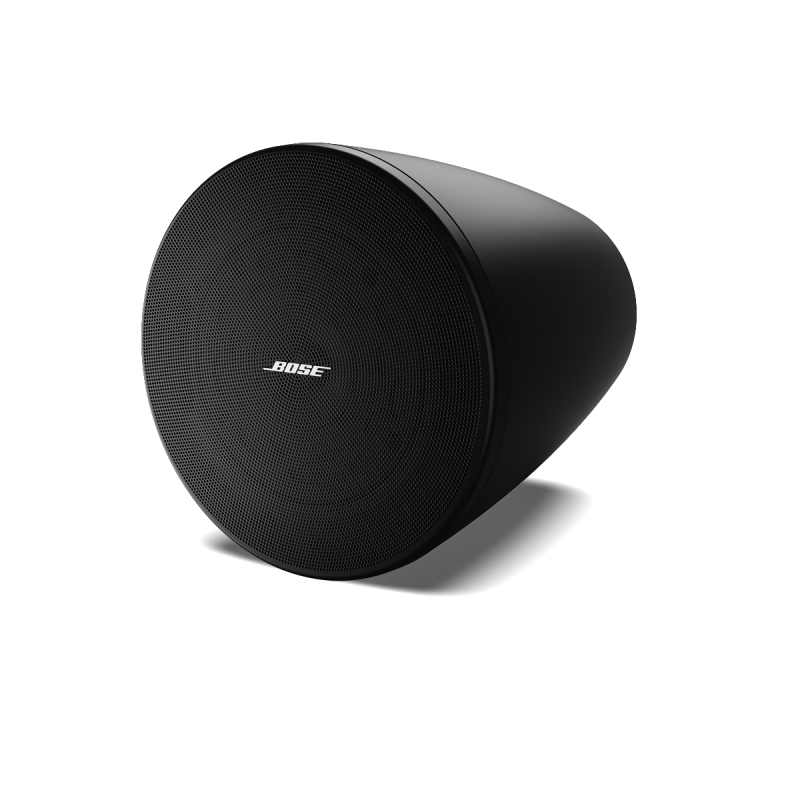 Bose DesignMax DM5P - Parlante Colgante Comercial