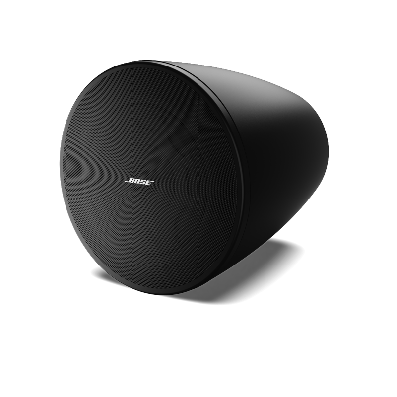 Bose DesignMax DM6PE - Parlante Colgante Comercial