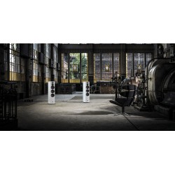 DALI RUBICON 8